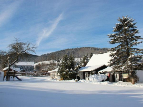 Ferienhäuser Mittelhof